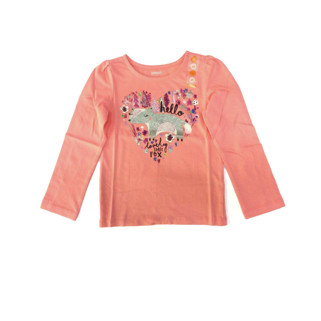 Gymboree 17 Gy Fall 4